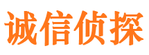 龙文市侦探公司